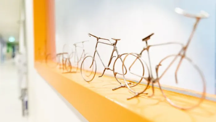 Fietsen is gezond
